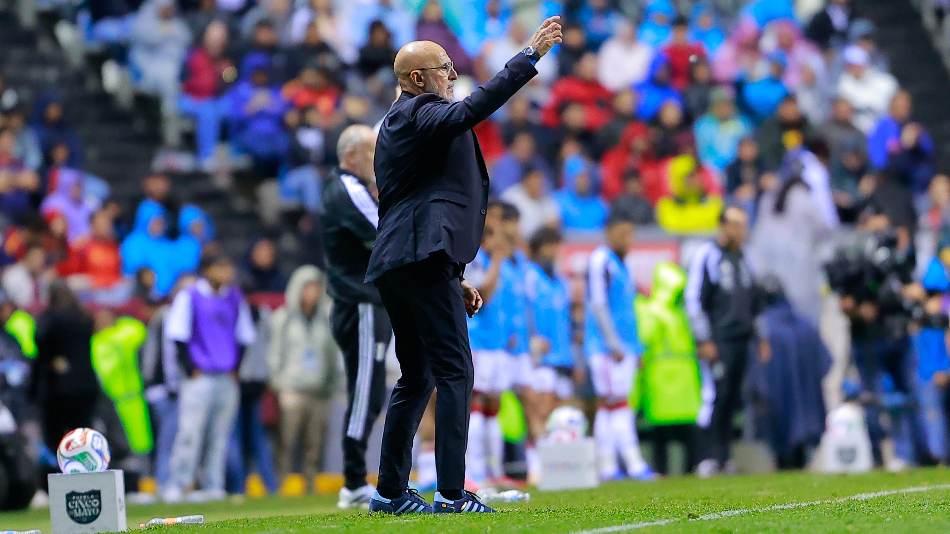 De La Fuente reassures Spain fans