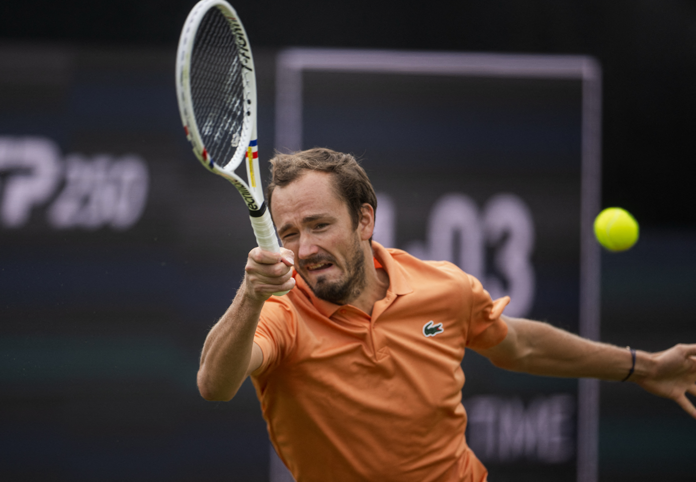 Daniil Medvedev