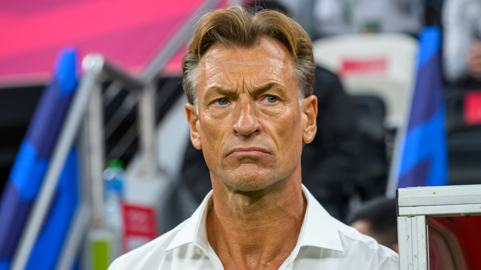 Renard takes charge of Tunisia