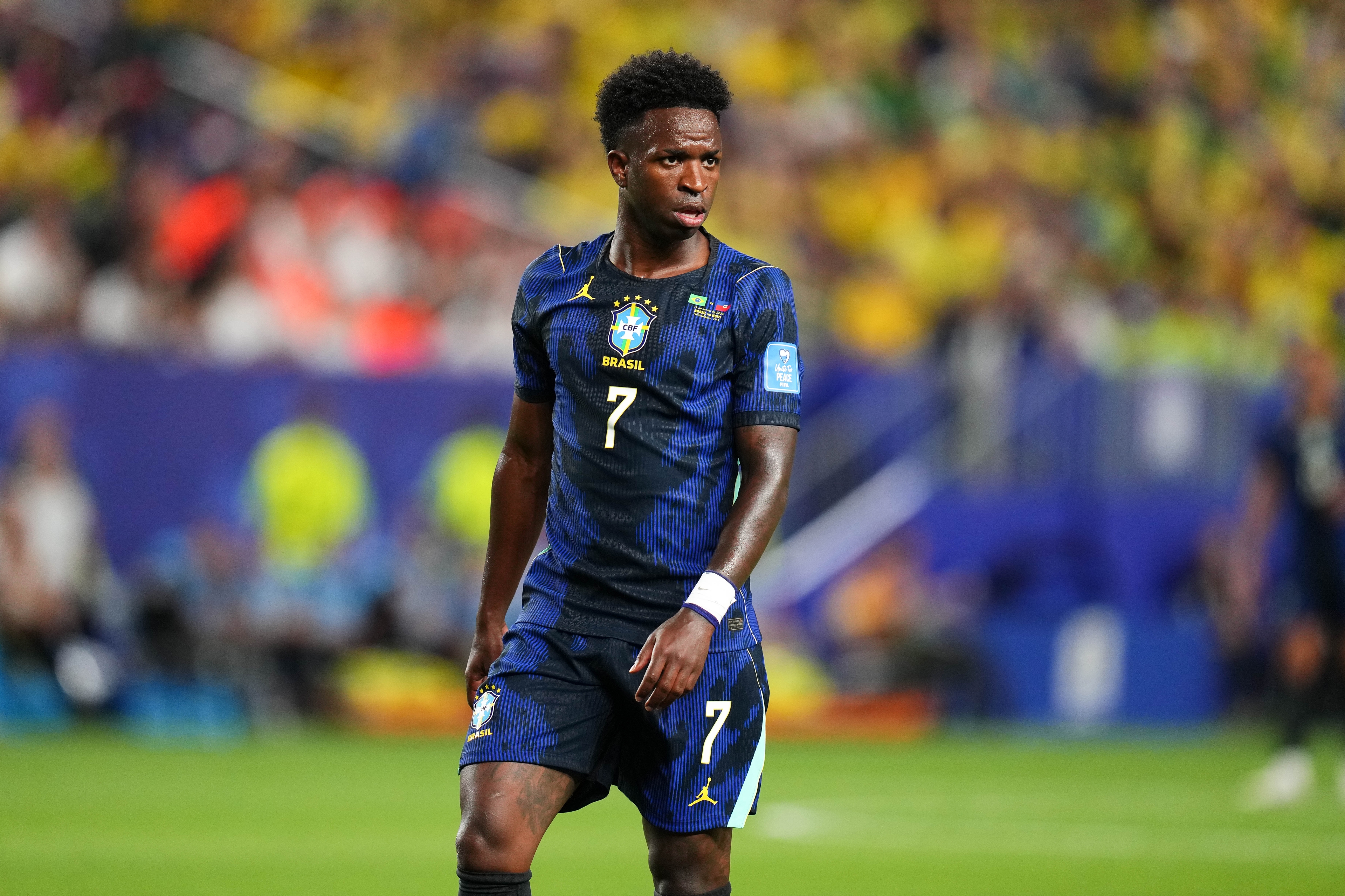 Vini