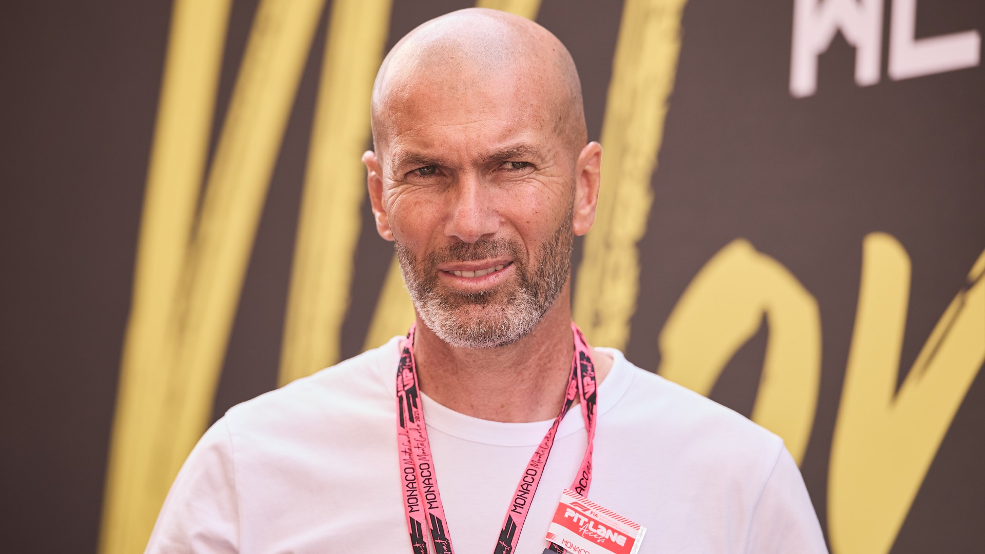 Zidane backed for France by Zlatan