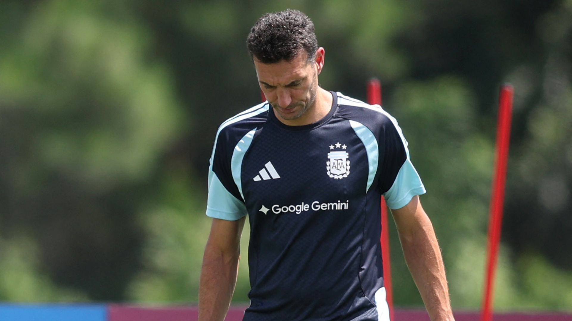 Scaloni