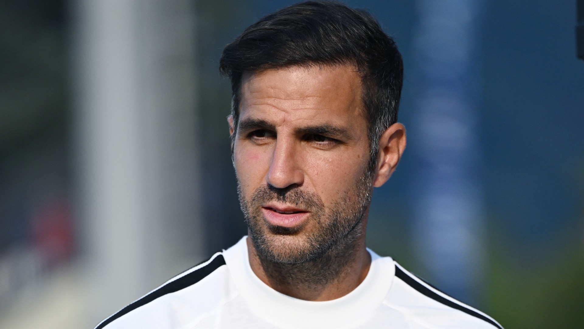 Fabregas: Como squad small for UCL