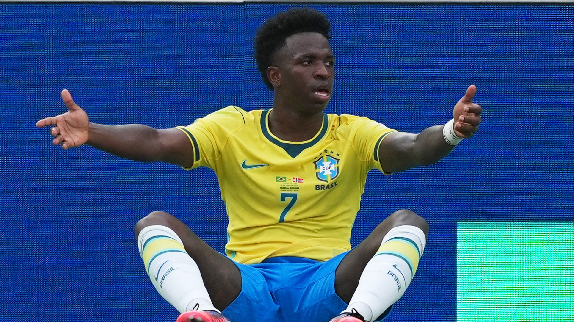 vini