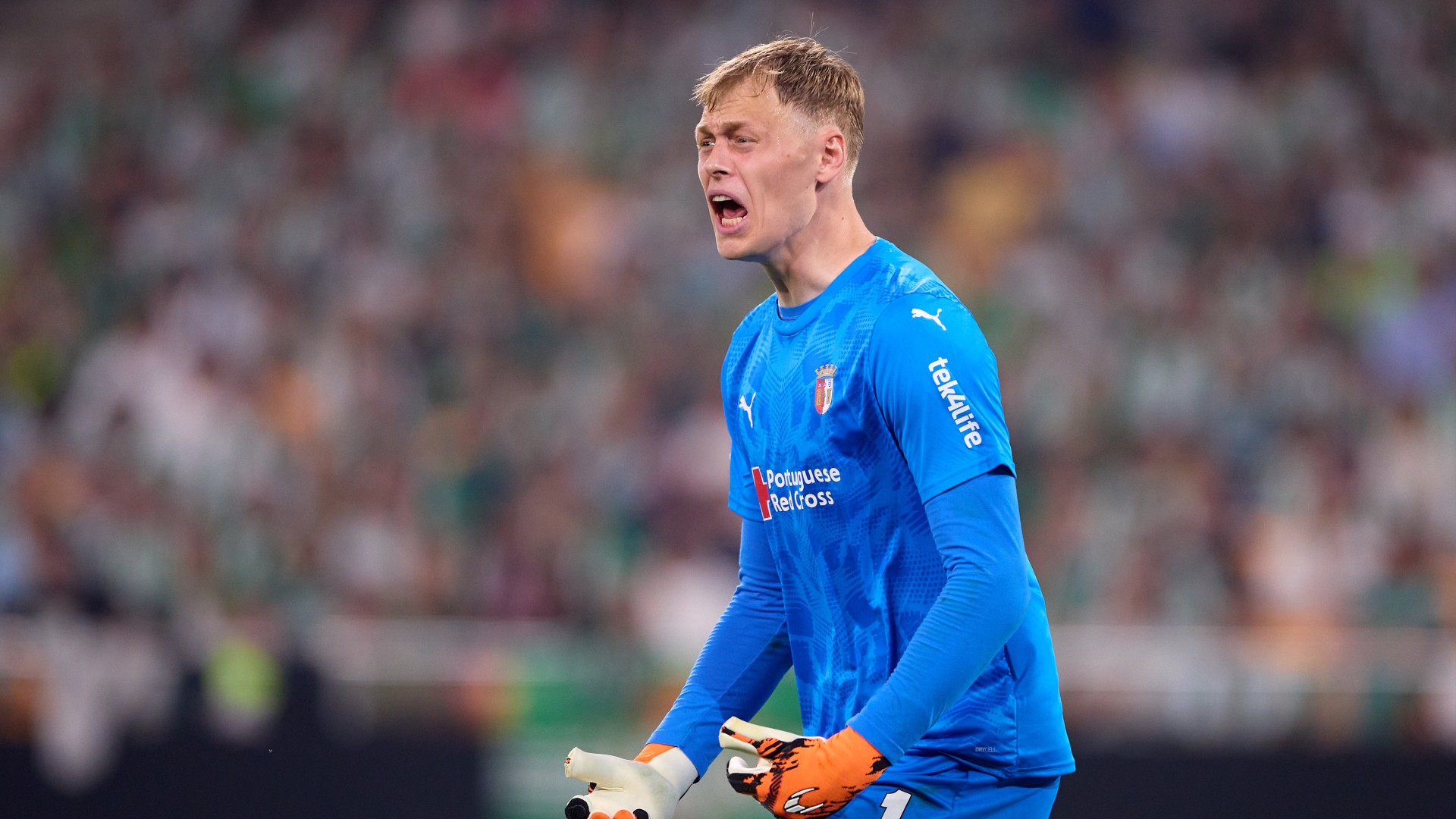 Hornicek signs for Newcastle