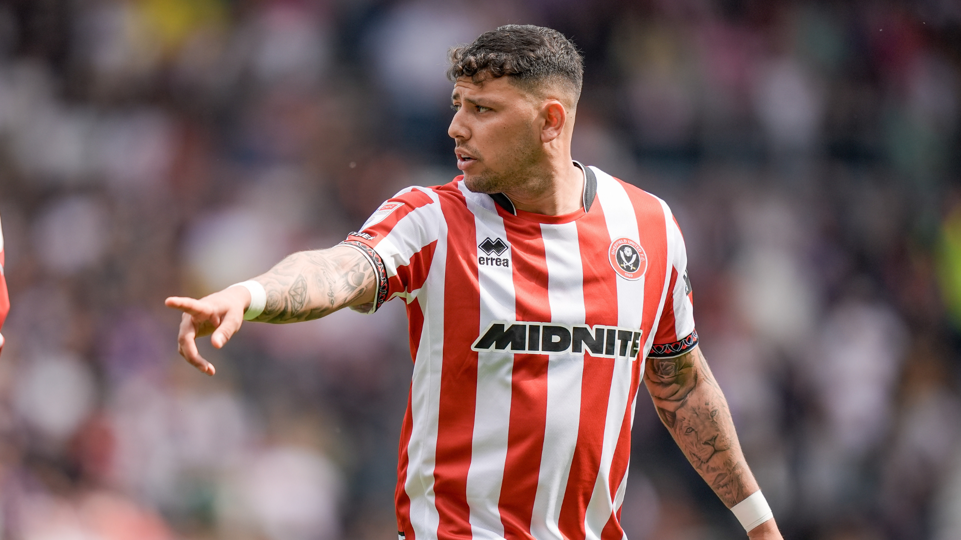 Wilder confirms Hamer interest