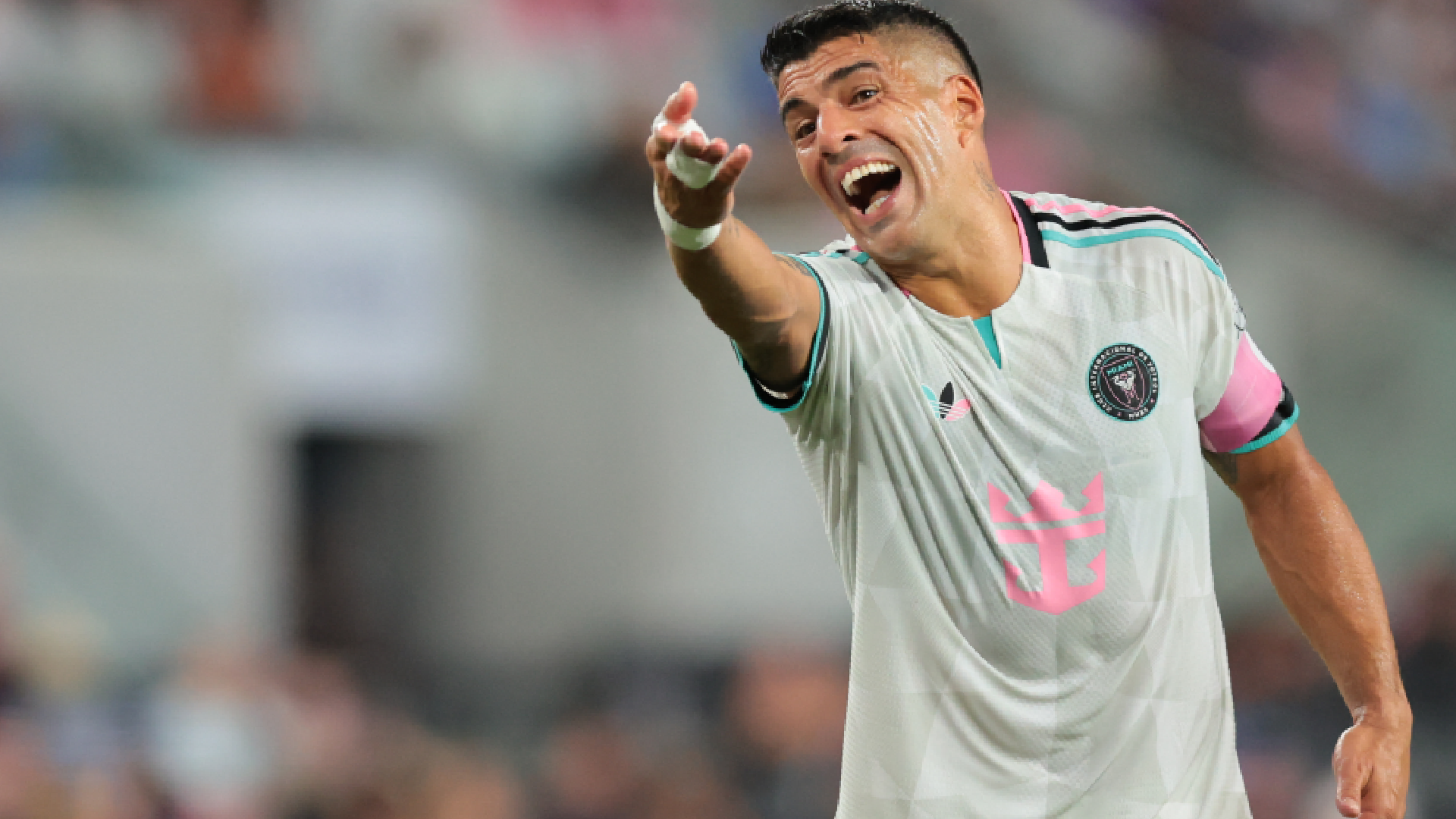suarez