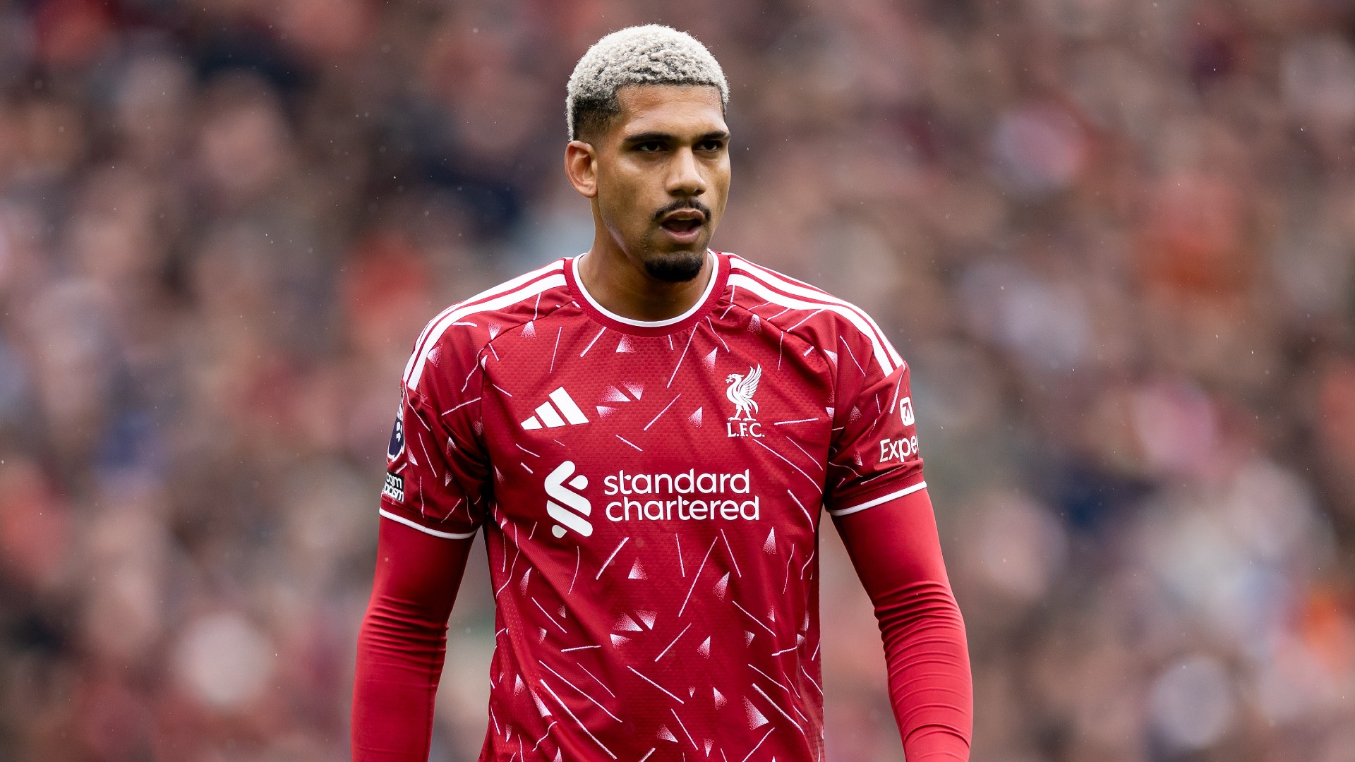 Araujo: PL is pure intensity