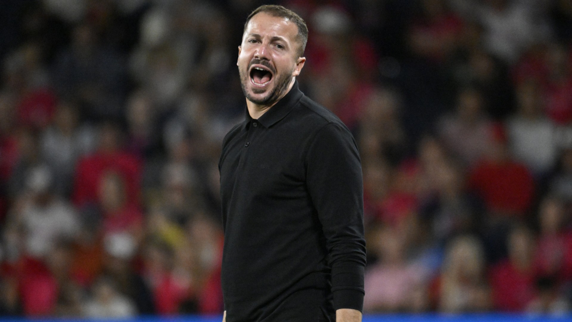 Preview: Minnesota v St. Louis City