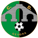 team logo