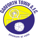 team logo