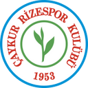 team logo