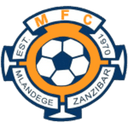 team logo