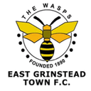 team logo