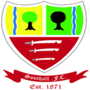 team logo