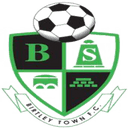 team logo