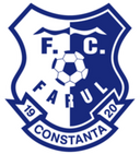 team logo
