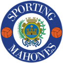 team logo