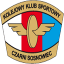 team logo