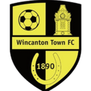 team logo