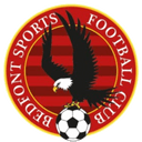 team logo