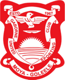 team logo