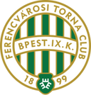 team logo