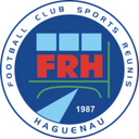 team logo