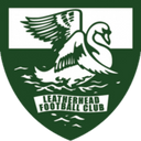 team logo