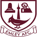 team logo
