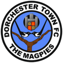 team logo