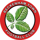 team logo