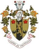team logo