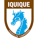 team logo