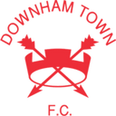 team logo