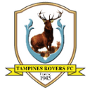 team logo