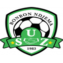 team logo