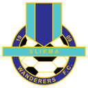 team logo