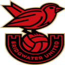 team logo
