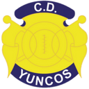 team logo