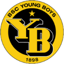 team logo