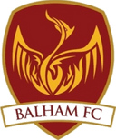 team logo