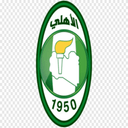 team logo