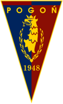 team logo