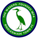 team logo