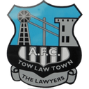 team logo