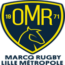 team logo