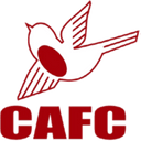 team logo