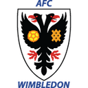 team logo