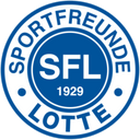 team logo